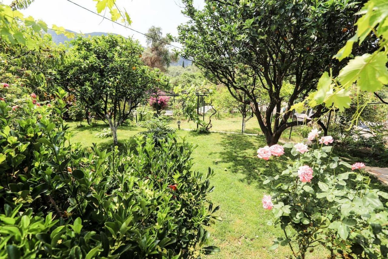Garden House Kastellani Guest House Kastellanoi  Luaran gambar